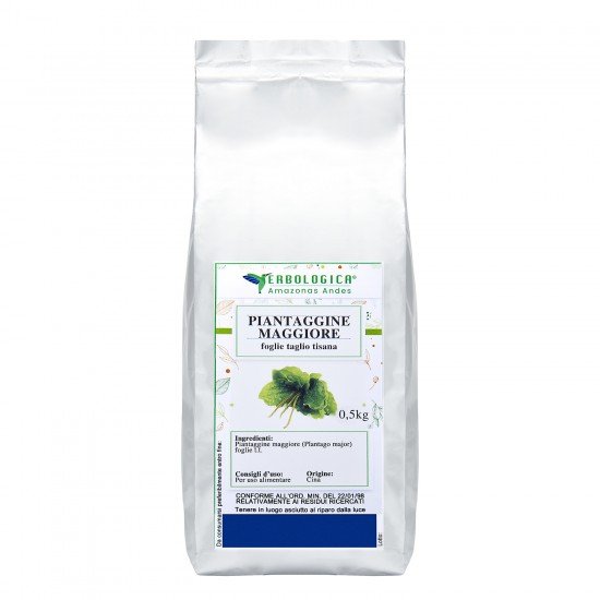 Piantaggine maggiore foglie tisana 500 grammi Piantaggine maggiore foglie tisana 500 grammi