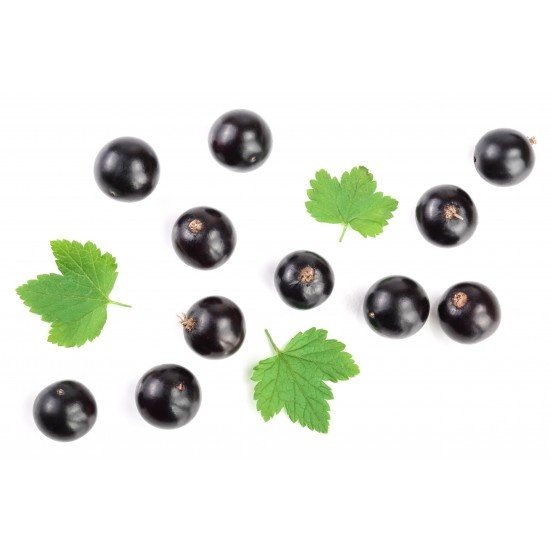 Ribes nero foglie taglio tisana 