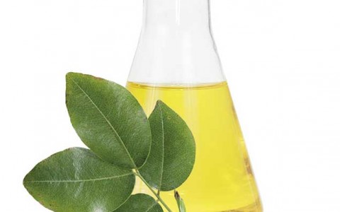 Olio di copaiba e i suoi benefici