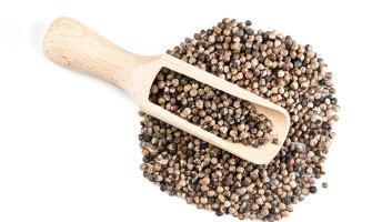 Agnocasto frutti usi e benefici