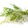 Artemisia e i suoi benefici