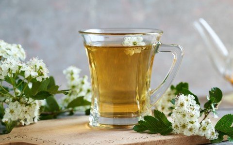 Hawthorn herbal tea and its benefits