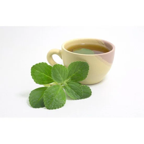 Boldo foglie tisana 