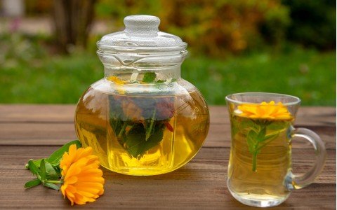 La calendula e le sue proprietà benefiche