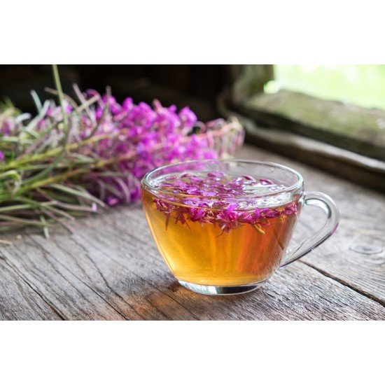 Tisana Epilobium Parviflorum da 500g Tisana Epilobium Parviflorum da 500g