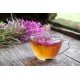 Tisana Epilobium Parviflorum da 500g Tisana Epilobium Parviflorum da 500g