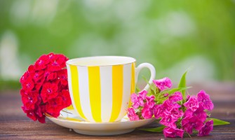 Svelare le piante medicinali che trasformano gli infusi e i liquori tradizionali Svelare le piante medicinali che trasformano gli infusi e i liquori tradizionali
