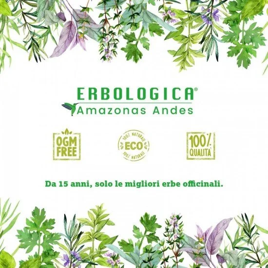 Fico d'India fiori Fico d'India fiori