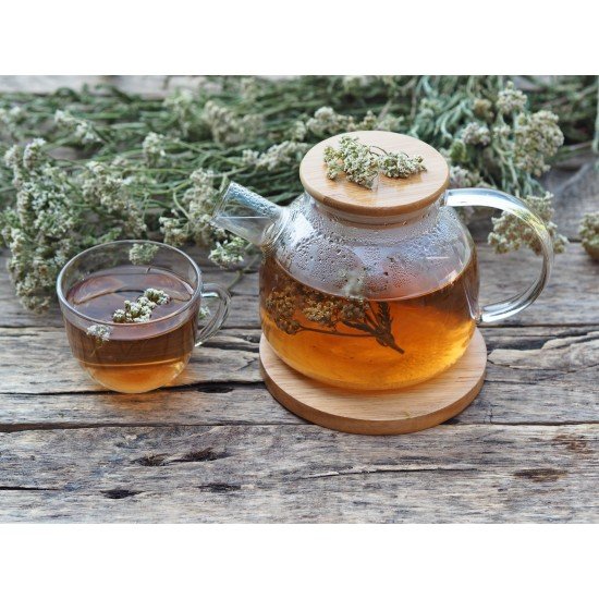 Yarrow top cut herbal tea