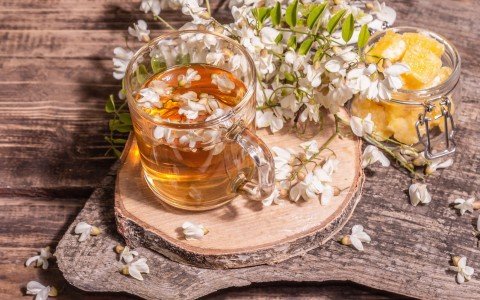 Acacia flowers how to use them and its benefits