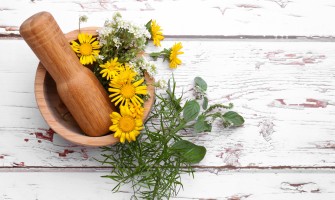 L'arnica: tutti i suoi benefici e i suoi usi L'arnica: tutti i suoi benefici e i suoi usi