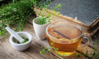 Borsa pastore pianta usi e benefici