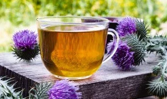 Scopri il tè di cardo mariano: alleato naturale per il tuo fegato