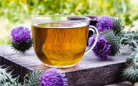 Scopri il tè di cardo mariano: alleato naturale per il tuo fegato Scopri il tè di cardo mariano: alleato naturale per il tuo fegato
