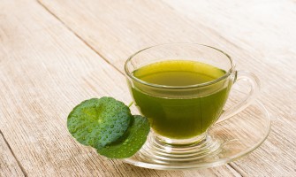 Centella pianta proprietà e usi Centella pianta proprietà e usi