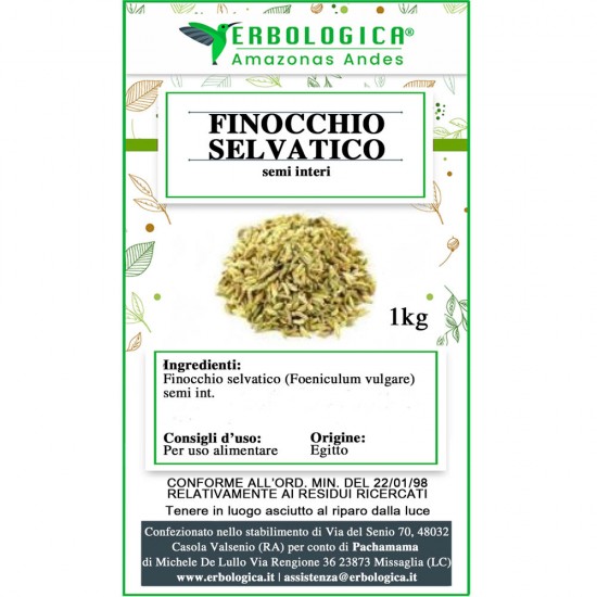 Finocchio semi selvatici infuso Finocchio semi selvatici infuso