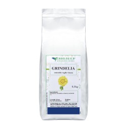 Grindelia capolini tisana