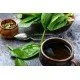 Piantaggine lanceolata foglie taglio tisana Piantaggine lanceolata foglie taglio tisana