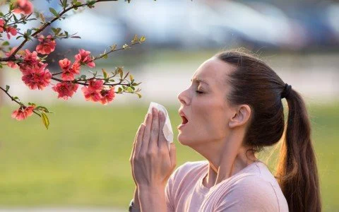 Il Sambuco: il segreto contro la rinite allergica in primavera Il Sambuco: il segreto contro la rinite allergica in primavera