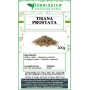 Tisana alle erbe per la prostata Tisana alle erbe per la prostata