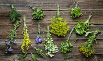 10 tisane alle erbe che aiutano a eliminare le tossine e migliorare la salute 10 tisane alle erbe che aiutano a eliminare le tossine e migliorare la salute