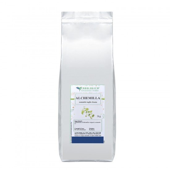 Alchemilla tisana Alchemilla tisana