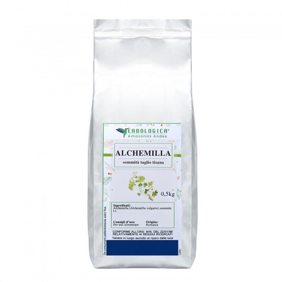Alchemilla tisana Alchemilla tisana
