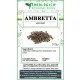 Ambretta semi Ambretta semi
