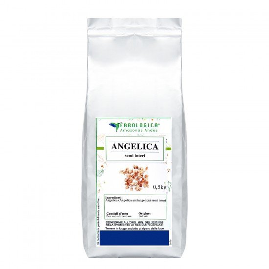 Angelica semi interi tisana Angelica semi interi tisana
