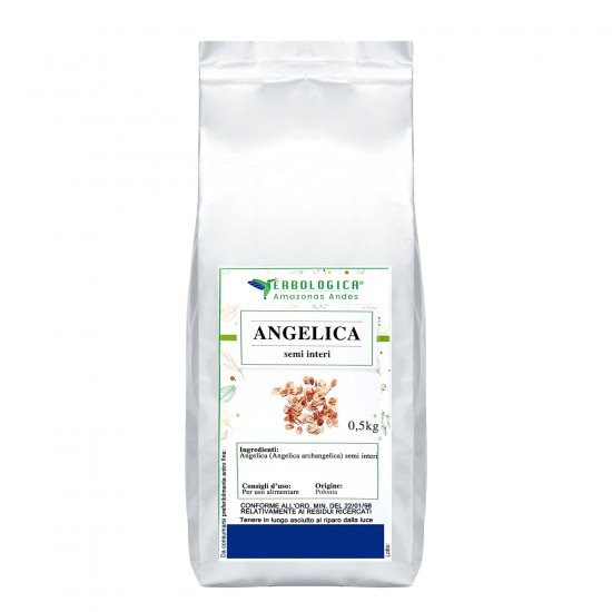 Angelica semi interi tisana