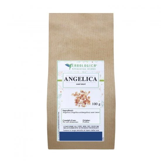 Angelica semi interi tisana Angelica semi interi tisana