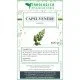 Capelvenere taglio tisana 