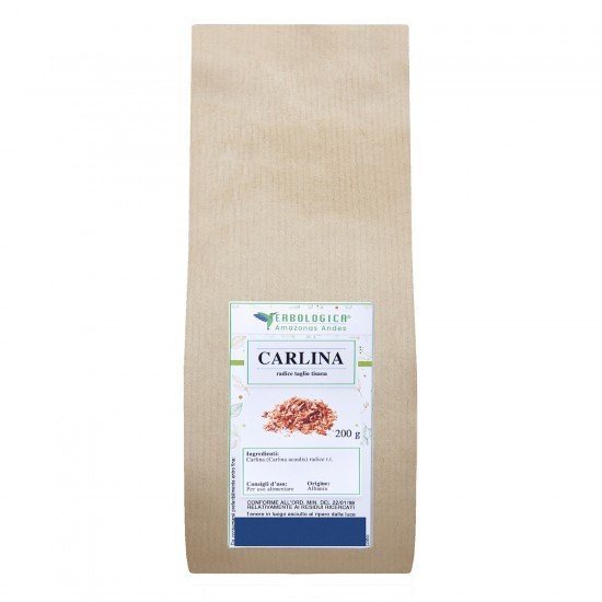 Carlina root herbal tea cut Carlina root herbal tea cut