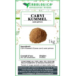 Carvi Kummel semi in polvere Carvi Kummel semi in polvere