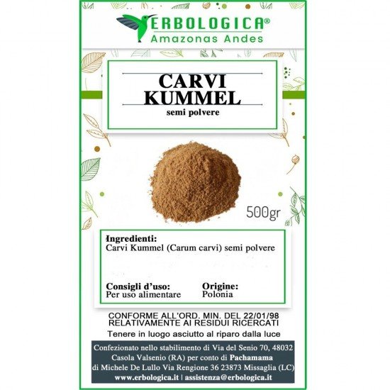 Carvi Kummel seeds in powder