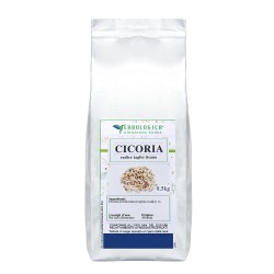 Cicoria radice tisana  Cicoria radice tisana