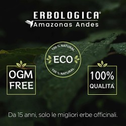 Reishi estratto in capsule Reishi estratto in capsule