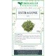 Estragone dragoncello spezia Estragone dragoncello spezia