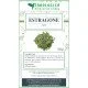 Estragone dragoncello spezia Estragone dragoncello spezia