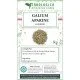 Galium aparine sommità tisana Galium aparine sommità tisana