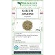Galium aparine sommità tisana Galium aparine sommità tisana