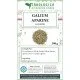 Galium aparine sommità tisana Galium aparine sommità tisana