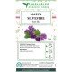Malva fiori blu Malva fiori blu