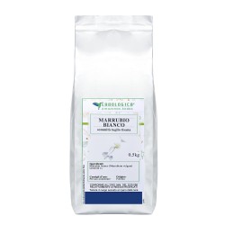 Marrubio pianta taglio tisana  Marrubio pianta taglio tisana