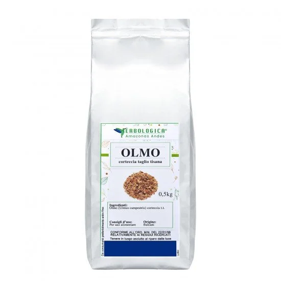 Olmo corteccia taglio tisana Olmo corteccia taglio tisana