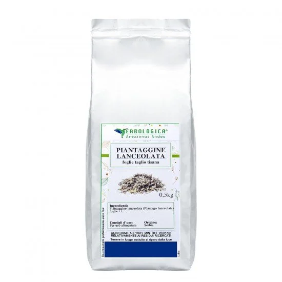 Piantaggine lanceolata foglie taglio tisana Piantaggine lanceolata foglie taglio tisana