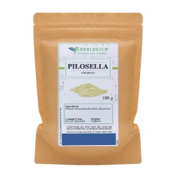 Pilosella pianta polvere  Pilosella pianta polvere