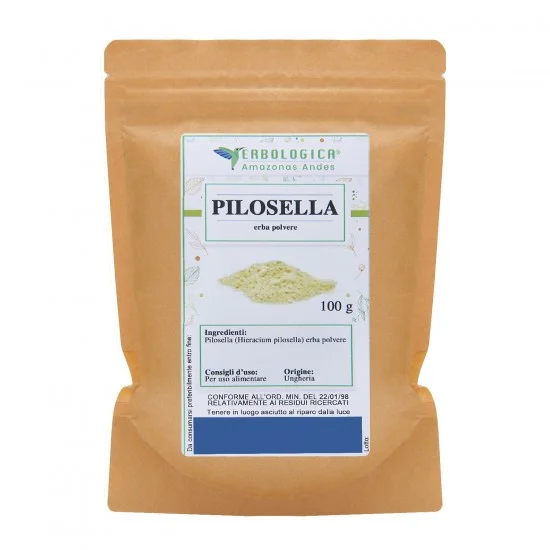 Pilosella pianta polvere Pilosella pianta polvere
