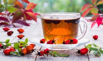 Rosa canina e i suoi benefici