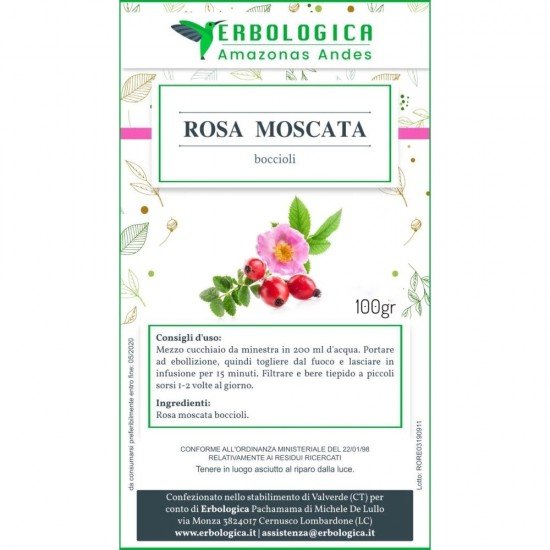 Rosa moscata boccioli interi